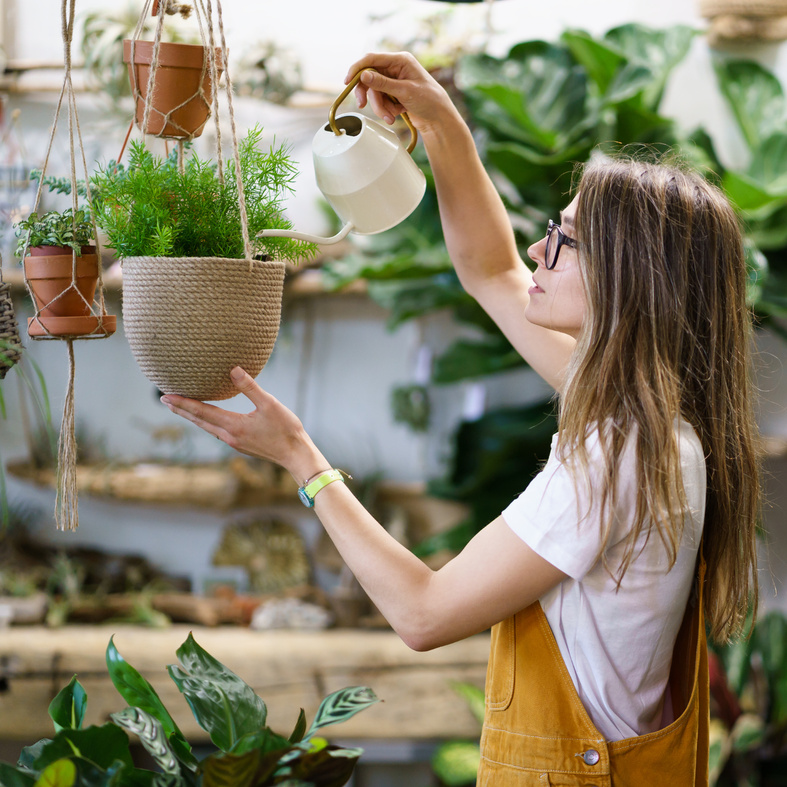 Girl Gardener Watering Potted Plant. Woman Student Florist Take Care of Houseplants in Home Garden